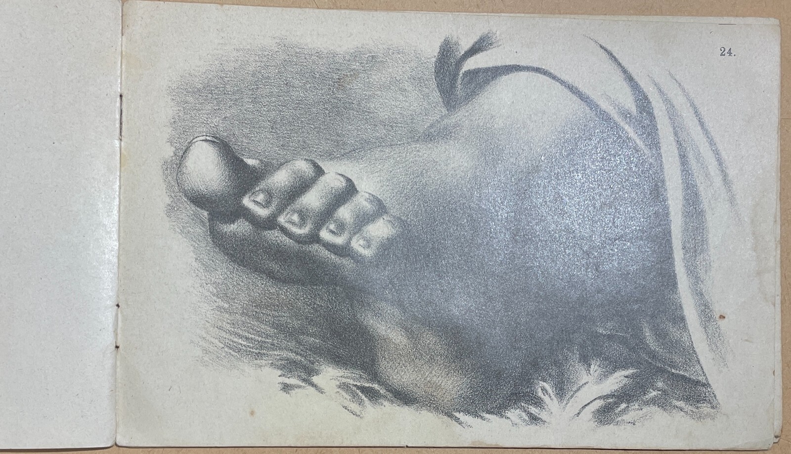 Arte, Disegno, Corso Didattico, Studio Di Figura: Raccolta Di Tavole Litografiche