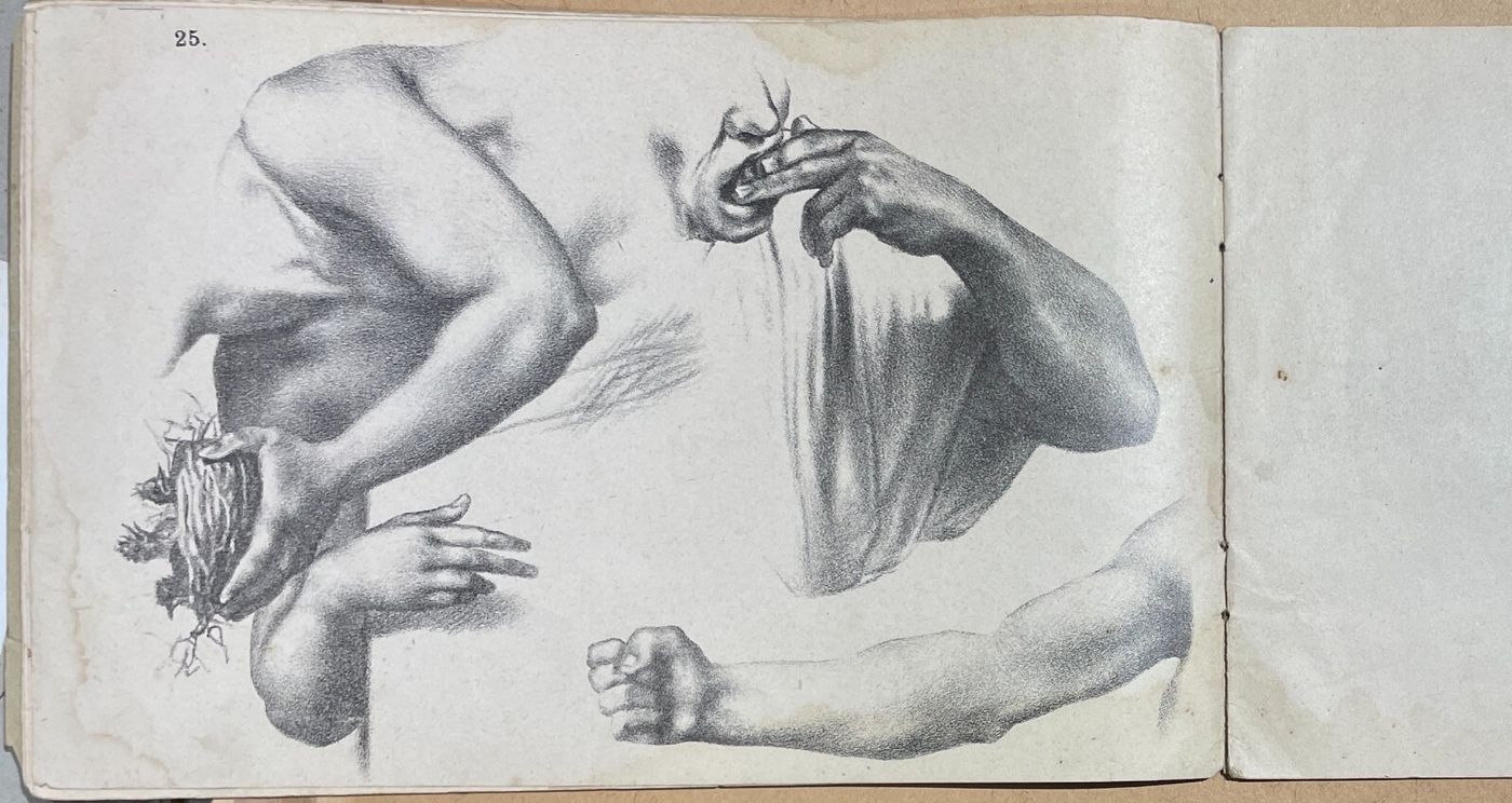 Arte, Disegno, Corso Didattico, Studio Di Figura: Raccolta Di Tavole Litografiche
