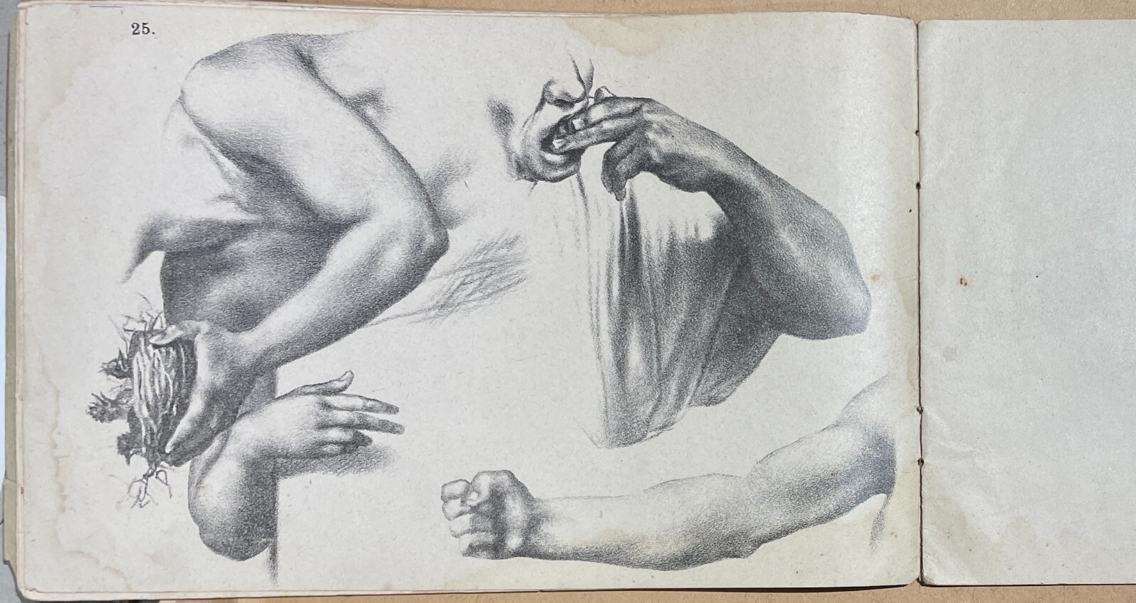 Arte, Disegno, Corso Didattico, Studio Di Figura: Raccolta Di Tavole Litografiche