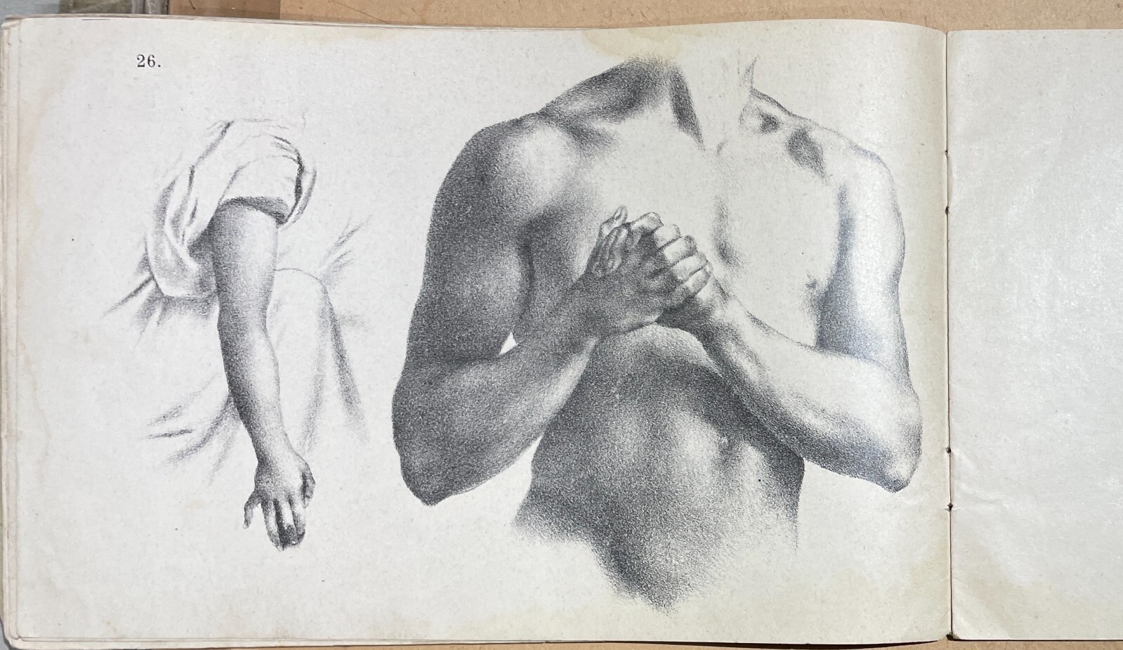 Arte, Disegno, Corso Didattico, Studio Di Figura: Raccolta Di Tavole Litografiche