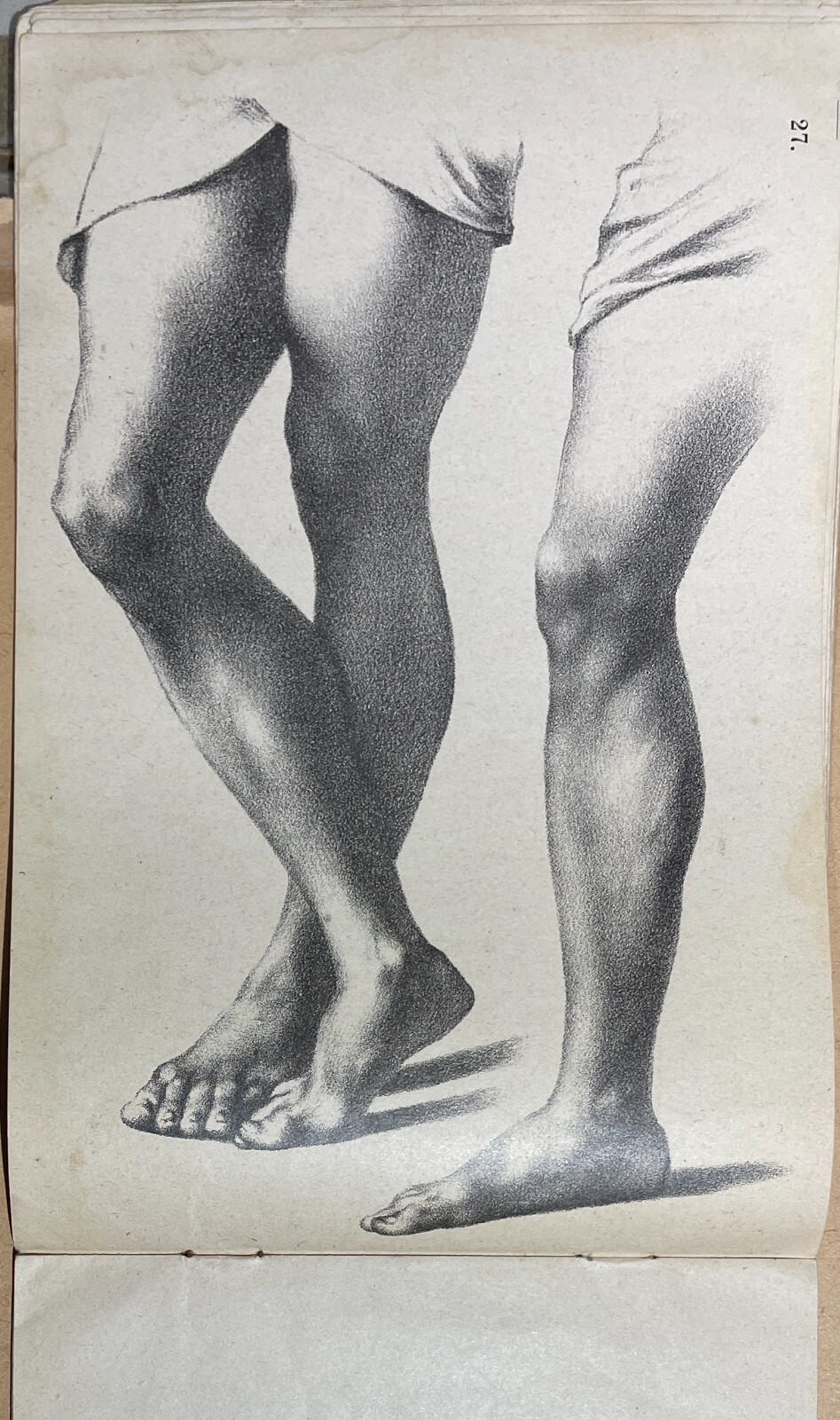 Arte, Disegno, Corso Didattico, Studio Di Figura: Raccolta Di Tavole Litografiche