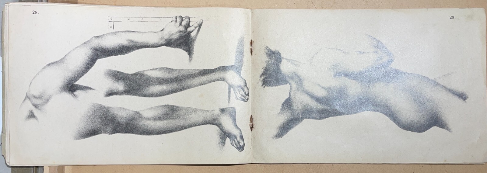 Arte, Disegno, Corso Didattico, Studio Di Figura: Raccolta Di Tavole Litografiche