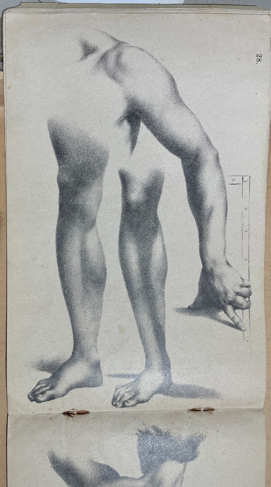 Arte, Disegno, Corso Didattico, Studio Di Figura: Raccolta Di Tavole Litografiche