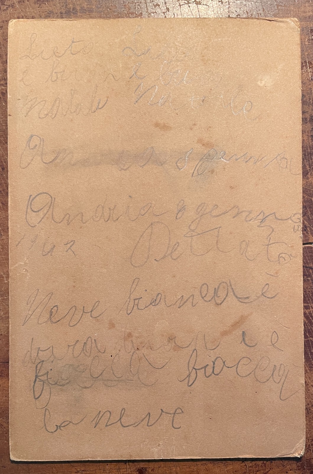 Antica Fotografia Di Elena Di Montenegro, Casata Reale Sabauda, Studio Giacomo Brogi, Firenze