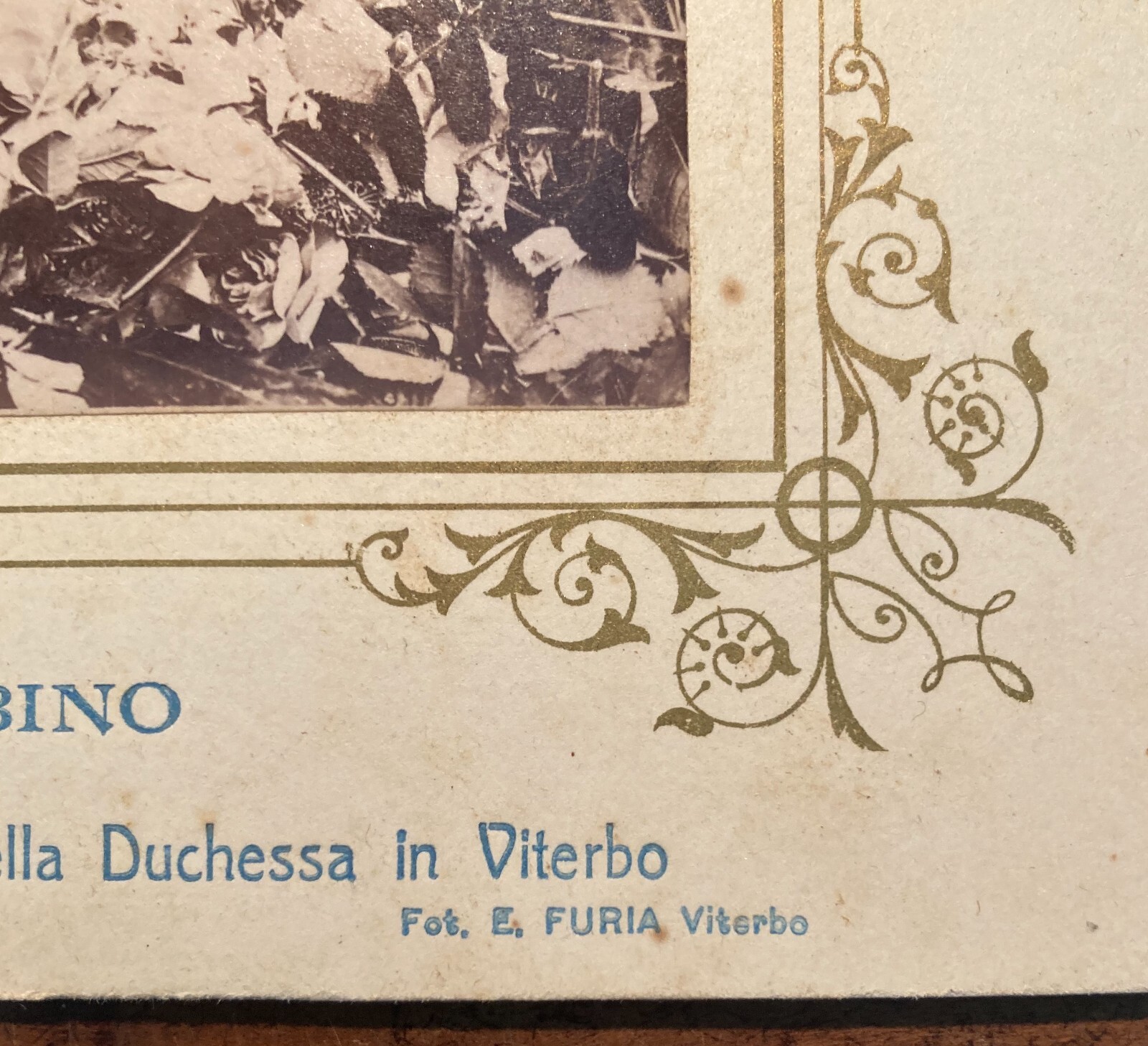 Antica Foto Originale, Viterbo, Fotografo Furia, Suor Benedetta Frey, Autografo