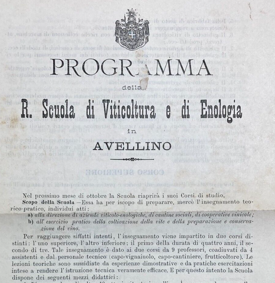 Viticoltura, Enologia, Avellino: Programma Scolastico Antico Pieghevole   1896