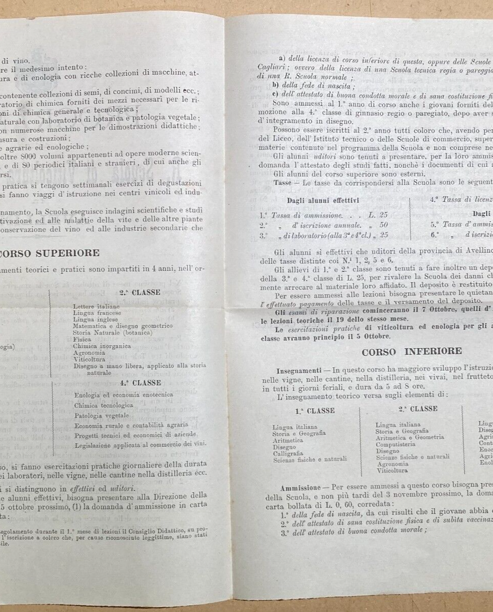 Viticoltura, Enologia, Avellino: Programma Scolastico Antico Pieghevole   1896