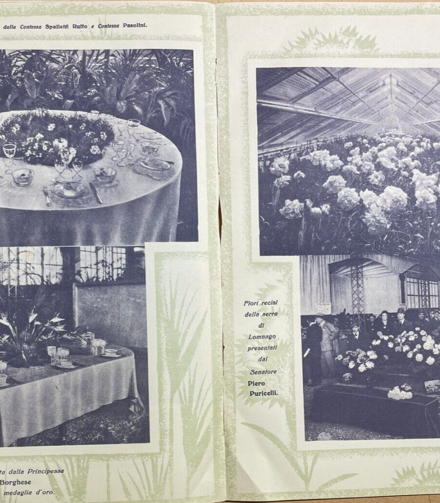 Estetica Della Tavola: Decorazioni Floreali, Nobiltà E Pubblicitaria Fotografica