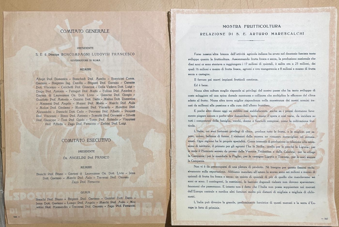 Mostra Nazionale Di Frutticoltura (1932): Pubblicazione Illustrata d'Epoca