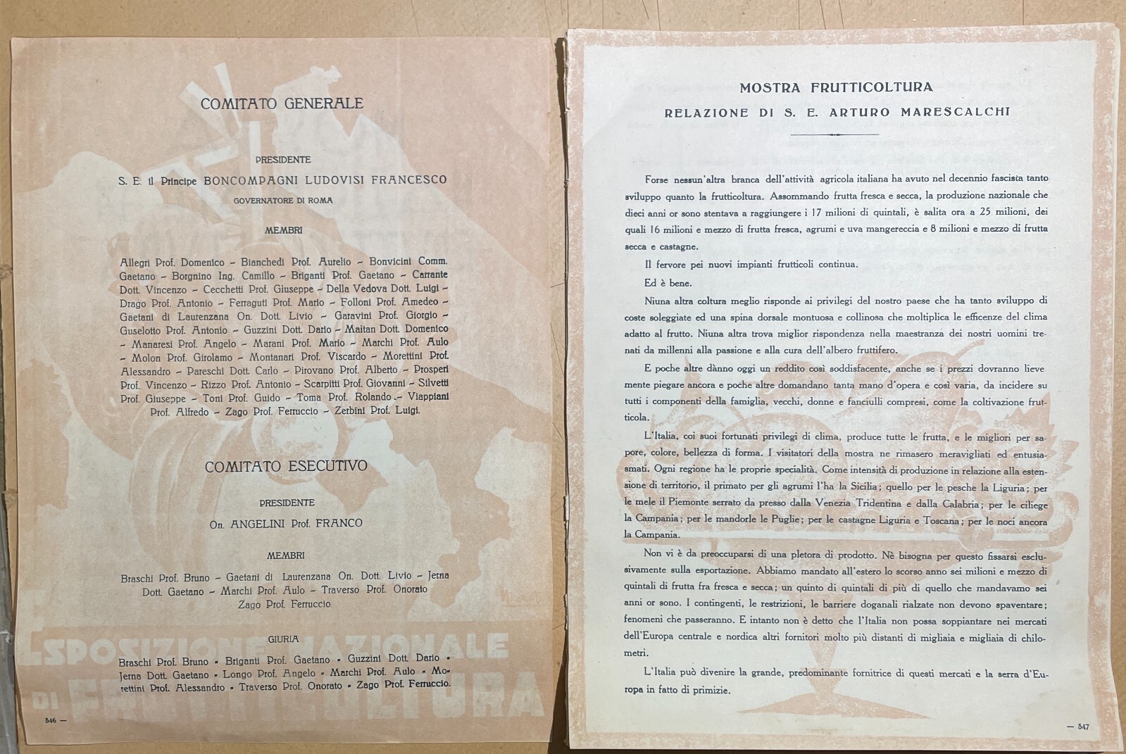 Mostra Nazionale Di Frutticoltura (1932): Pubblicazione Illustrata d'Epoca