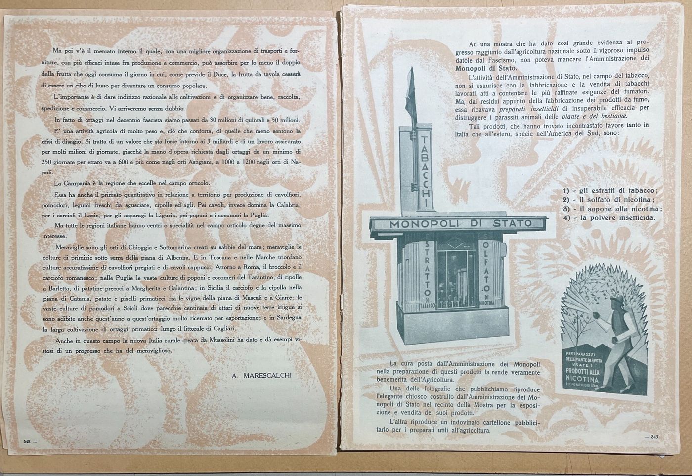 Mostra Nazionale Di Frutticoltura (1932): Pubblicazione Illustrata d'Epoca