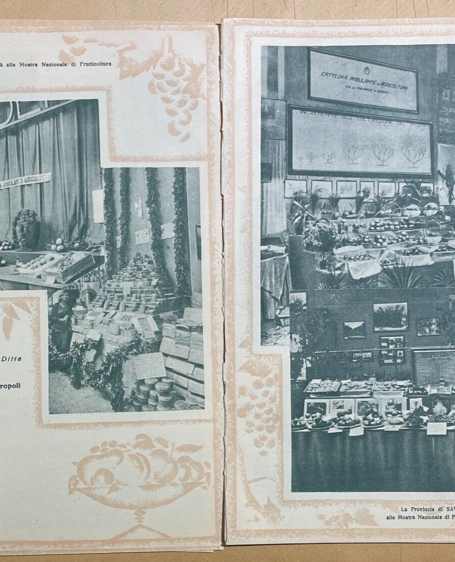 Mostra Nazionale Di Frutticoltura (1932): Pubblicazione Illustrata d'Epoca