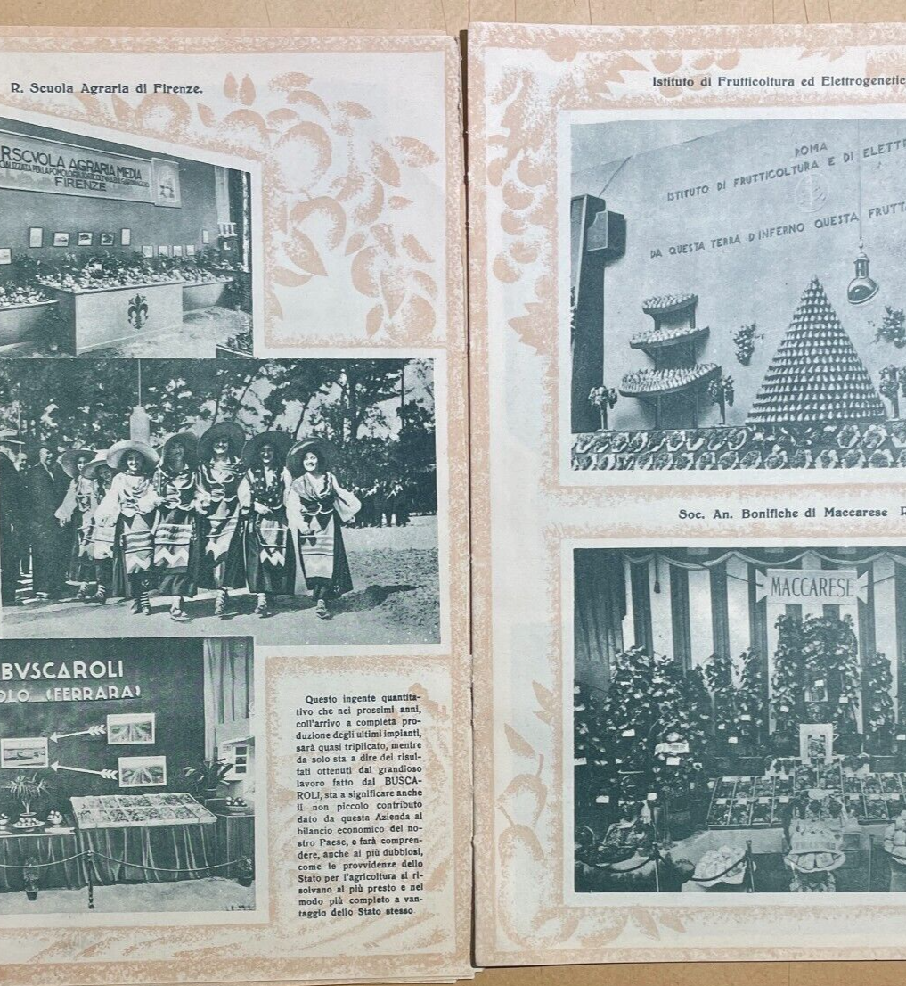 Mostra Nazionale Di Frutticoltura (1932): Pubblicazione Illustrata d'Epoca