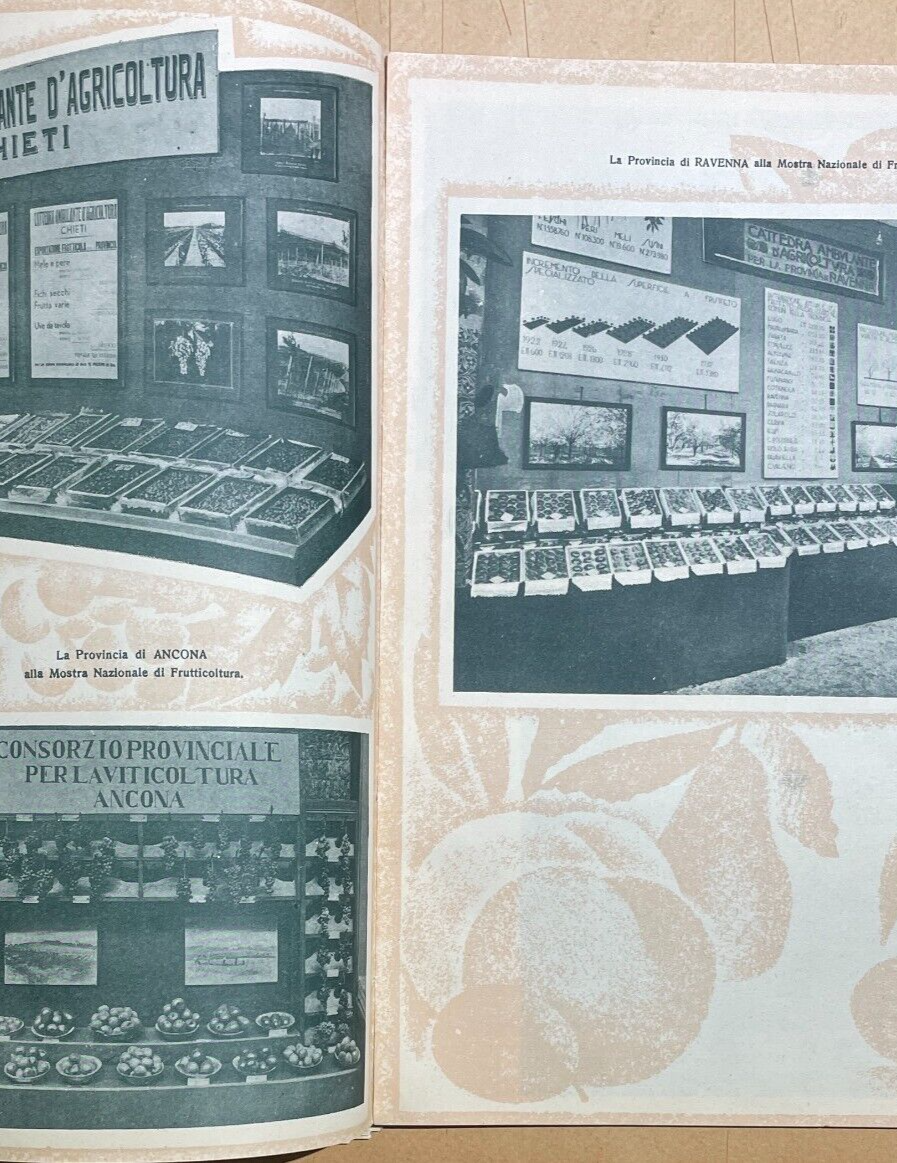 Mostra Nazionale Di Frutticoltura (1932): Pubblicazione Illustrata d'Epoca