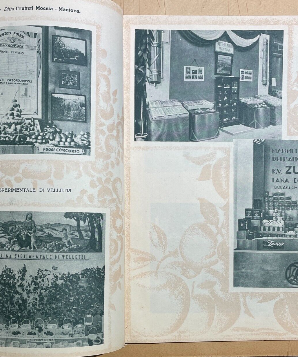 Mostra Nazionale Di Frutticoltura (1932): Pubblicazione Illustrata d'Epoca