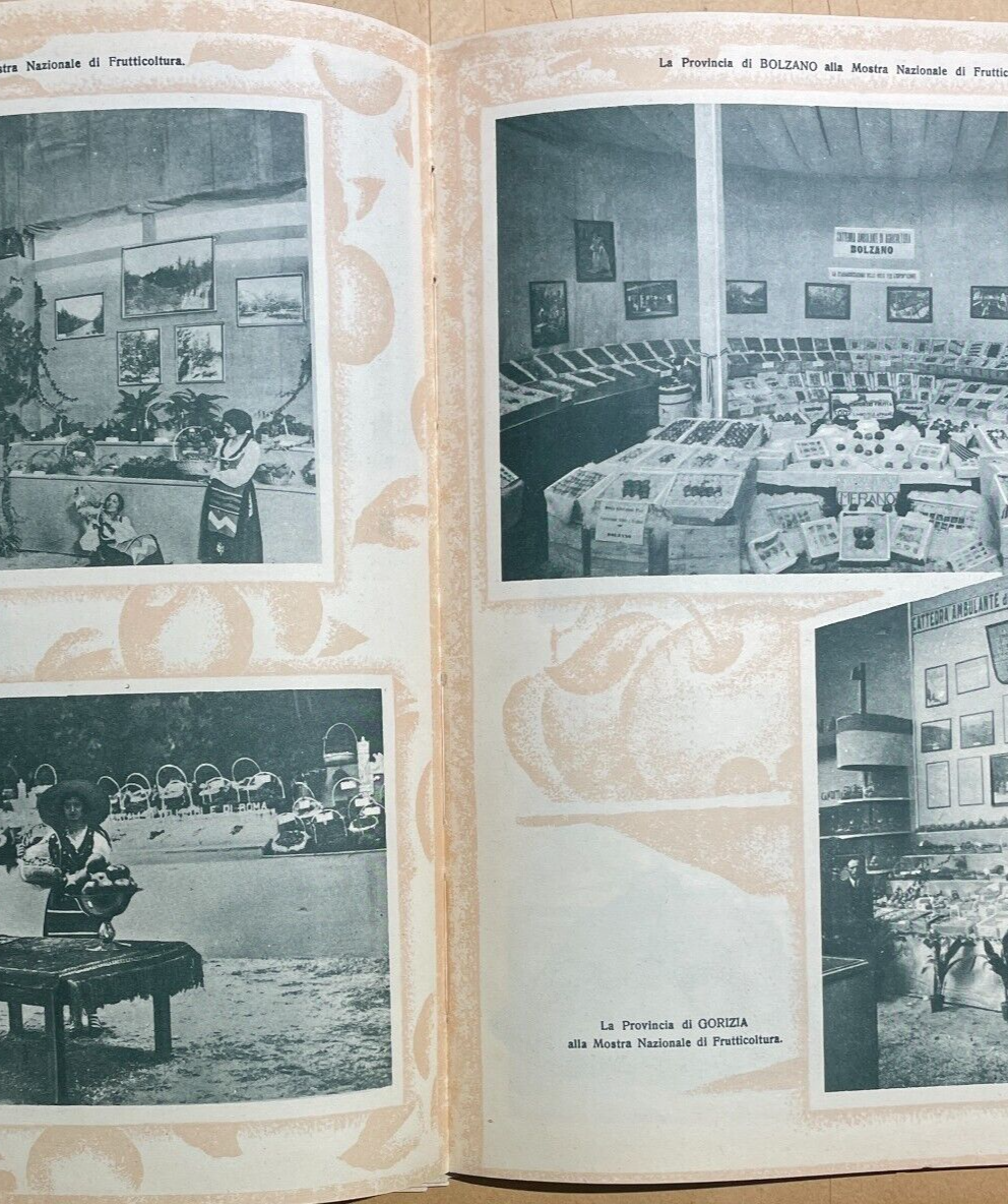 Mostra Nazionale Di Frutticoltura (1932): Pubblicazione Illustrata d'Epoca