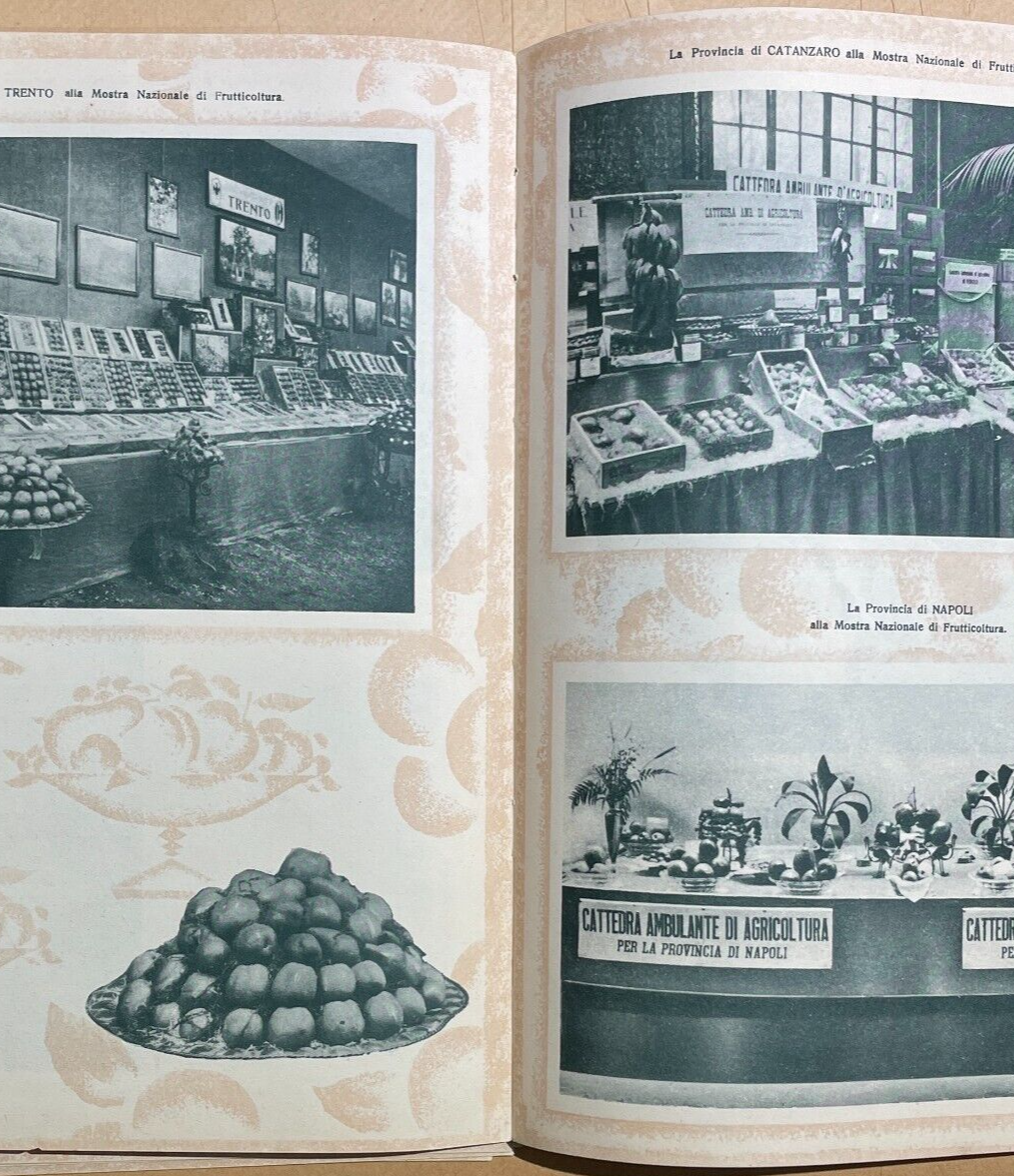 Mostra Nazionale Di Frutticoltura (1932): Pubblicazione Illustrata d'Epoca