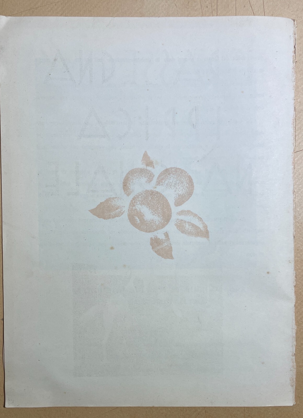 Mostra Nazionale Di Frutticoltura (1932): Pubblicazione Illustrata d'Epoca