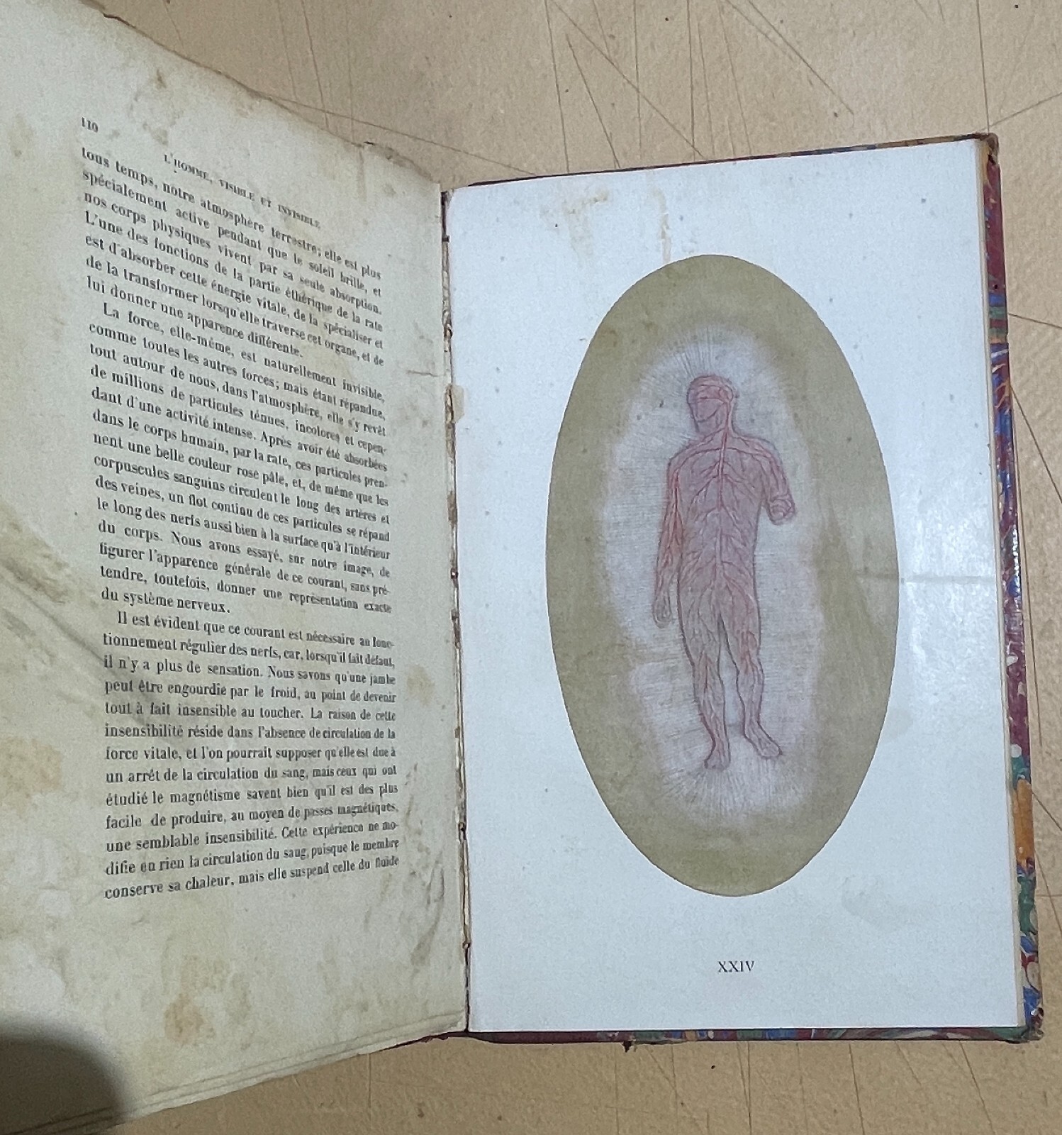 Teosofia, Esoterismo, L'Uomo Visibile E Invisibile. C. W. Leadbeater, 1903, Illustrato