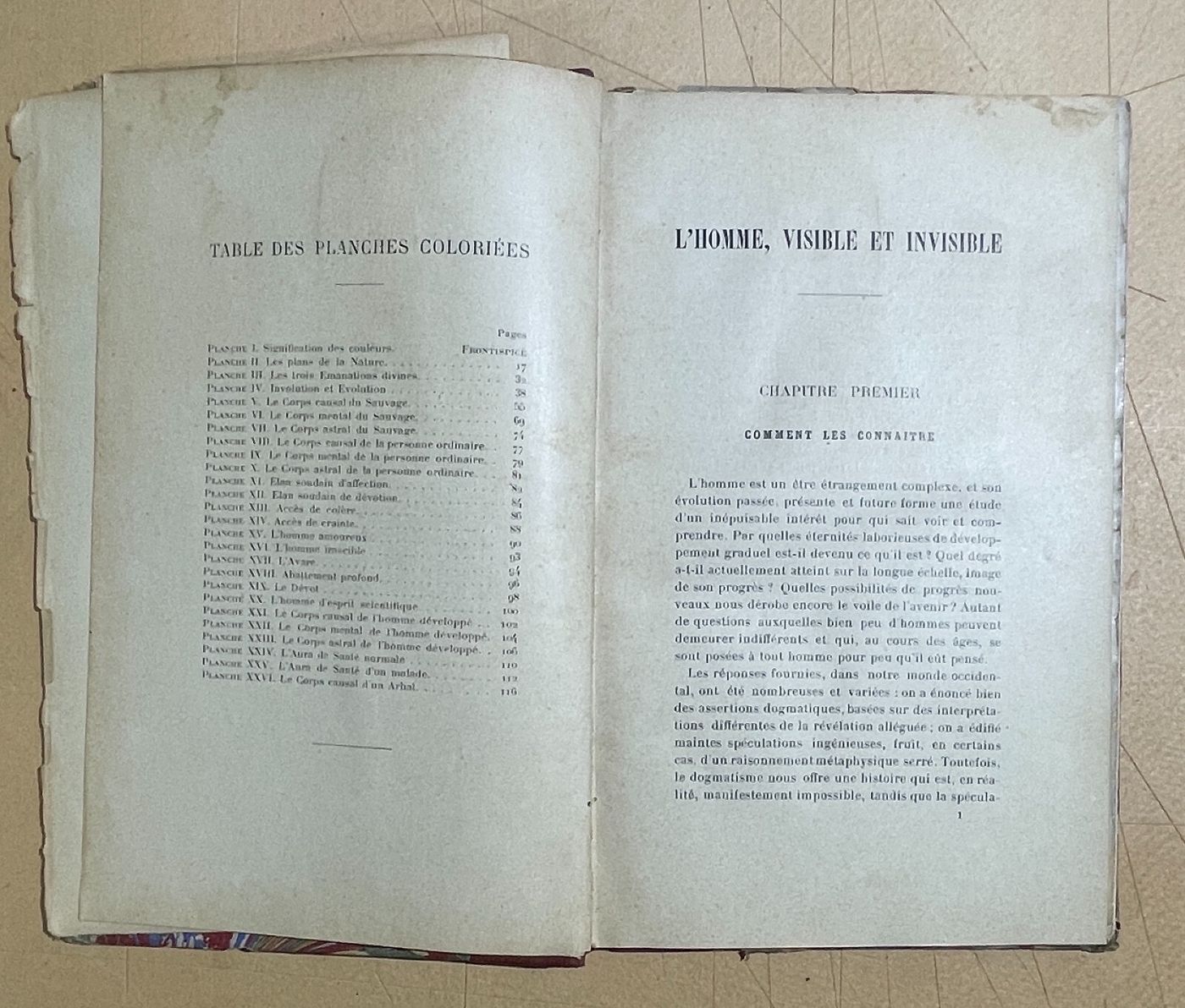 Teosofia, Esoterismo, L'Uomo Visibile E Invisibile. C. W. Leadbeater, 1903, Illustrato
