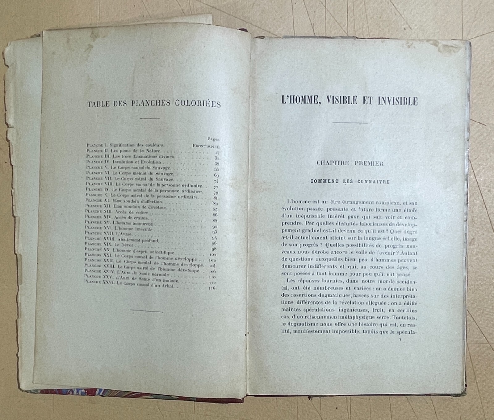 Teosofia, Esoterismo, L'Uomo Visibile E Invisibile. C. W. Leadbeater, 1903, Illustrato