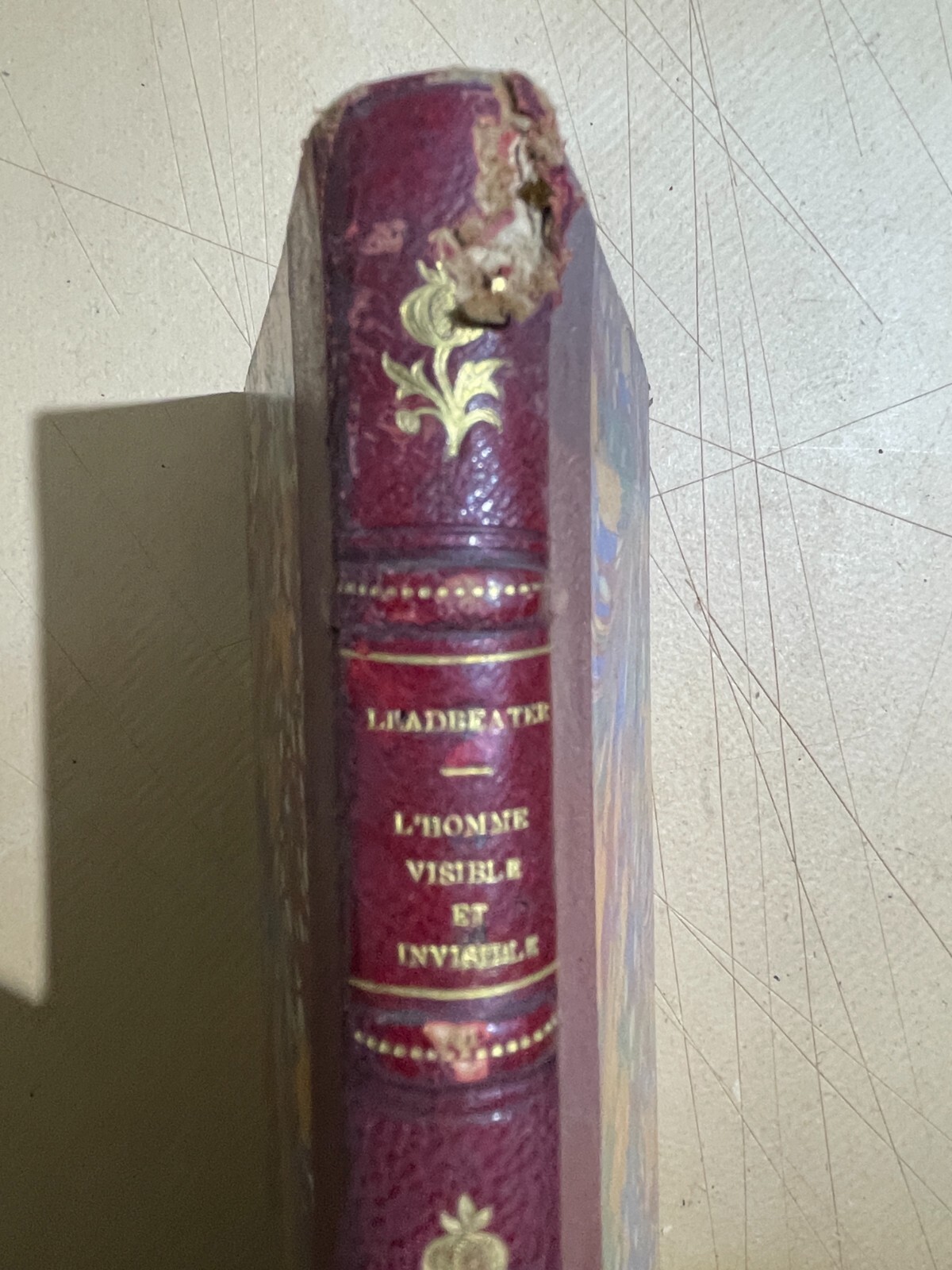 Teosofia, Esoterismo, L'Uomo Visibile E Invisibile. C. W. Leadbeater, 1903, Illustrato