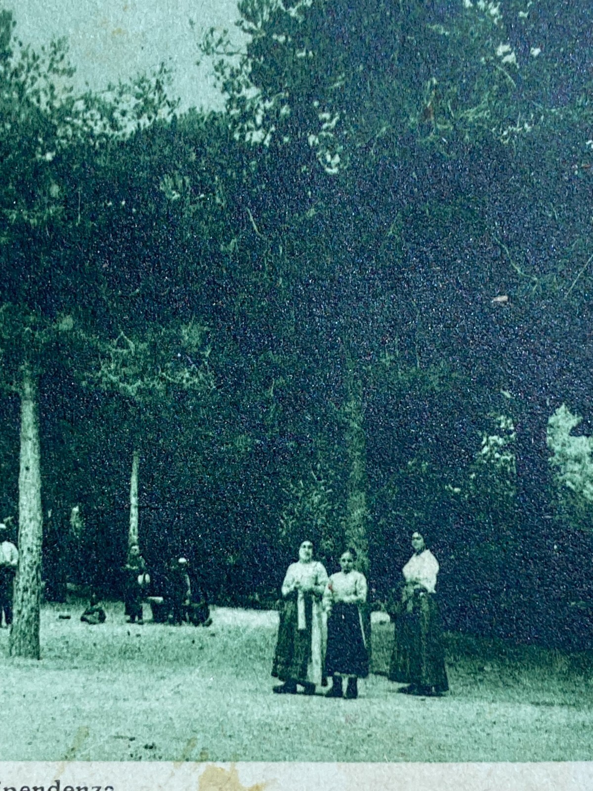 Marche, Grottammare: Antica Cartolina Illustrata Animata Folkloristica Cameli, Anni '30
