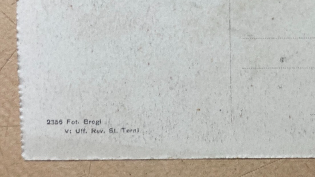 Nell'Harem: Antica Cartolina Di Francesco Gelli, Foto Brogi