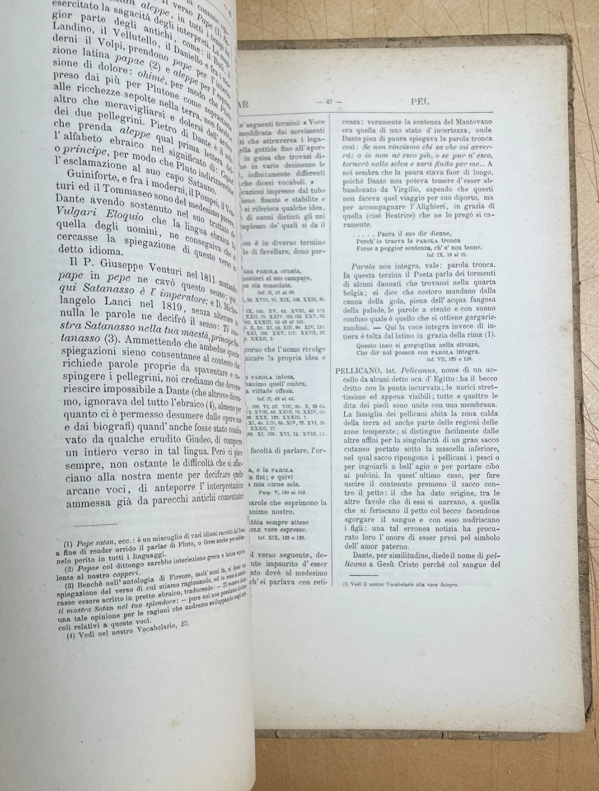 Vocabolario Enciclopedico Dantesco del Conte Gaddi Hercolani (bologna, 1876) con Dedica