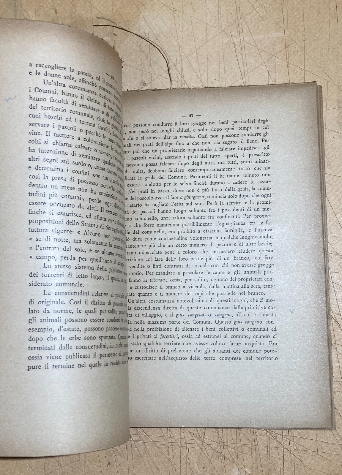 Economia, Stato Sociale, Proprietà Collettiva, Demanio Sardegna, Marche, Emilia 1890
