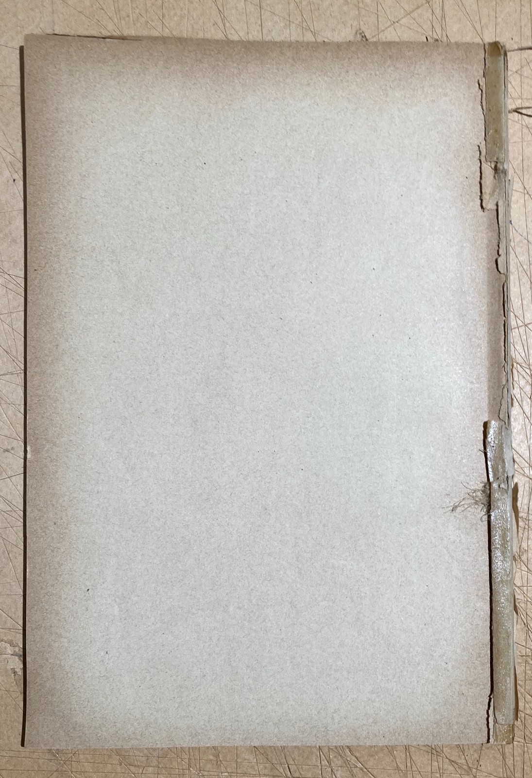 Economia, Stato Sociale, Proprietà Collettiva, Demanio Sardegna, Marche, Emilia 1890