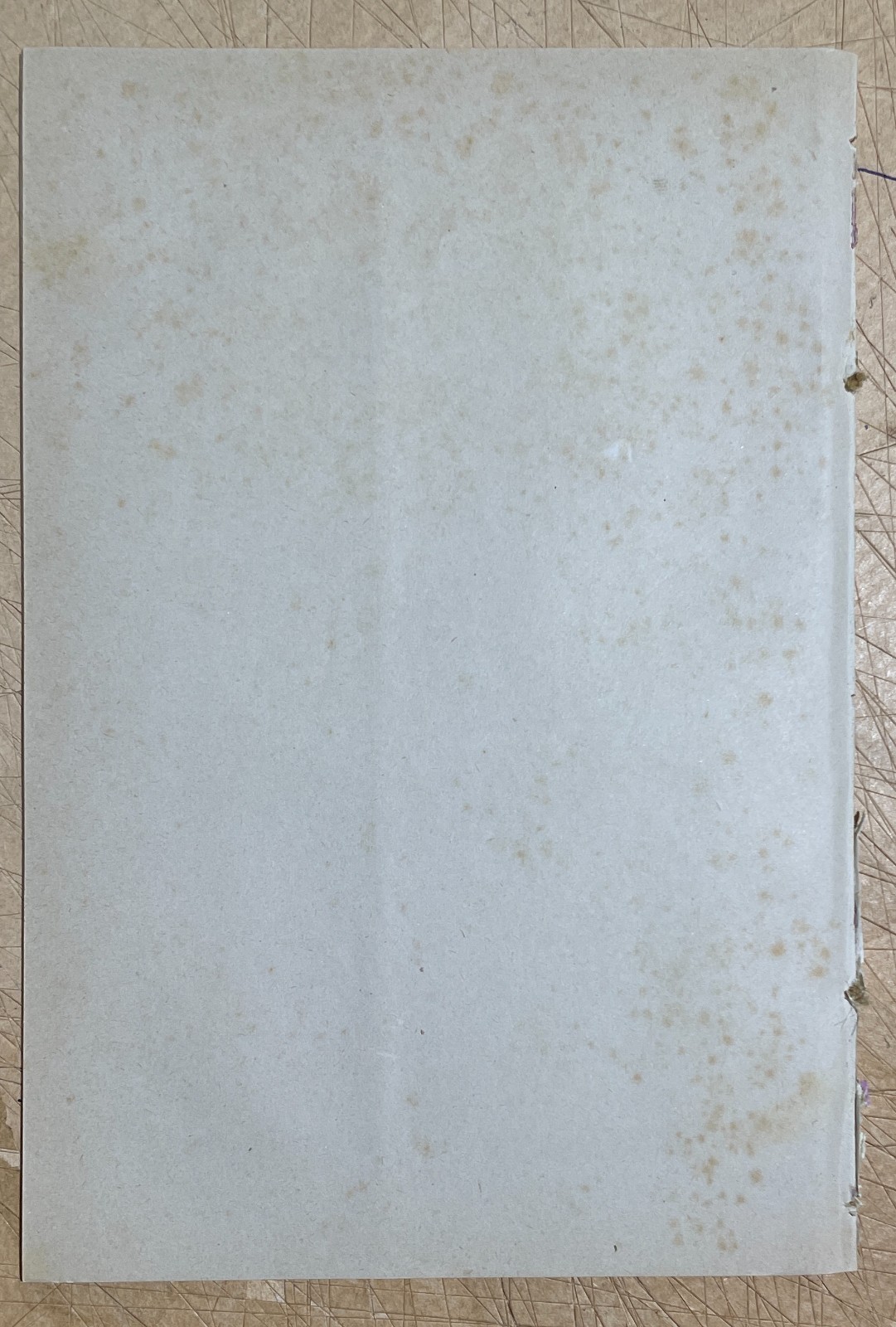 Puglia   Mola Di Bari. Dissertazione Giuridica (P. Adami, N. Balenzano), 1889
