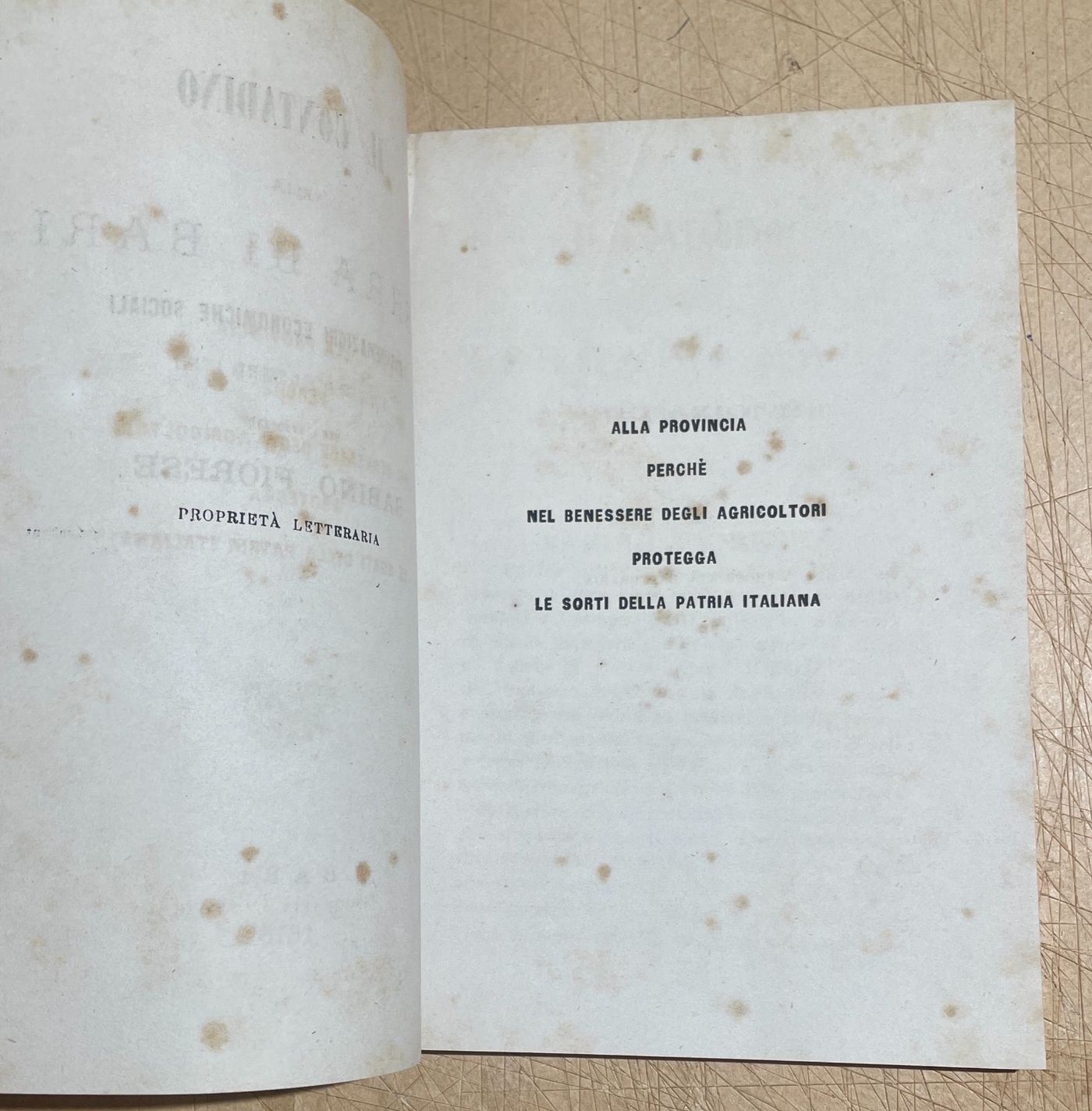 Puglia   Bari   Agricoltura. Il Contadino Nella Terra Di Bari   Sabino Fiorese (1878)