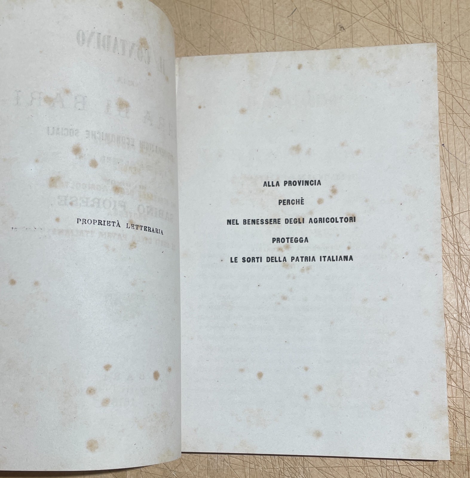 Puglia   Bari   Agricoltura. Il Contadino Nella Terra Di Bari   Sabino Fiorese (1878)