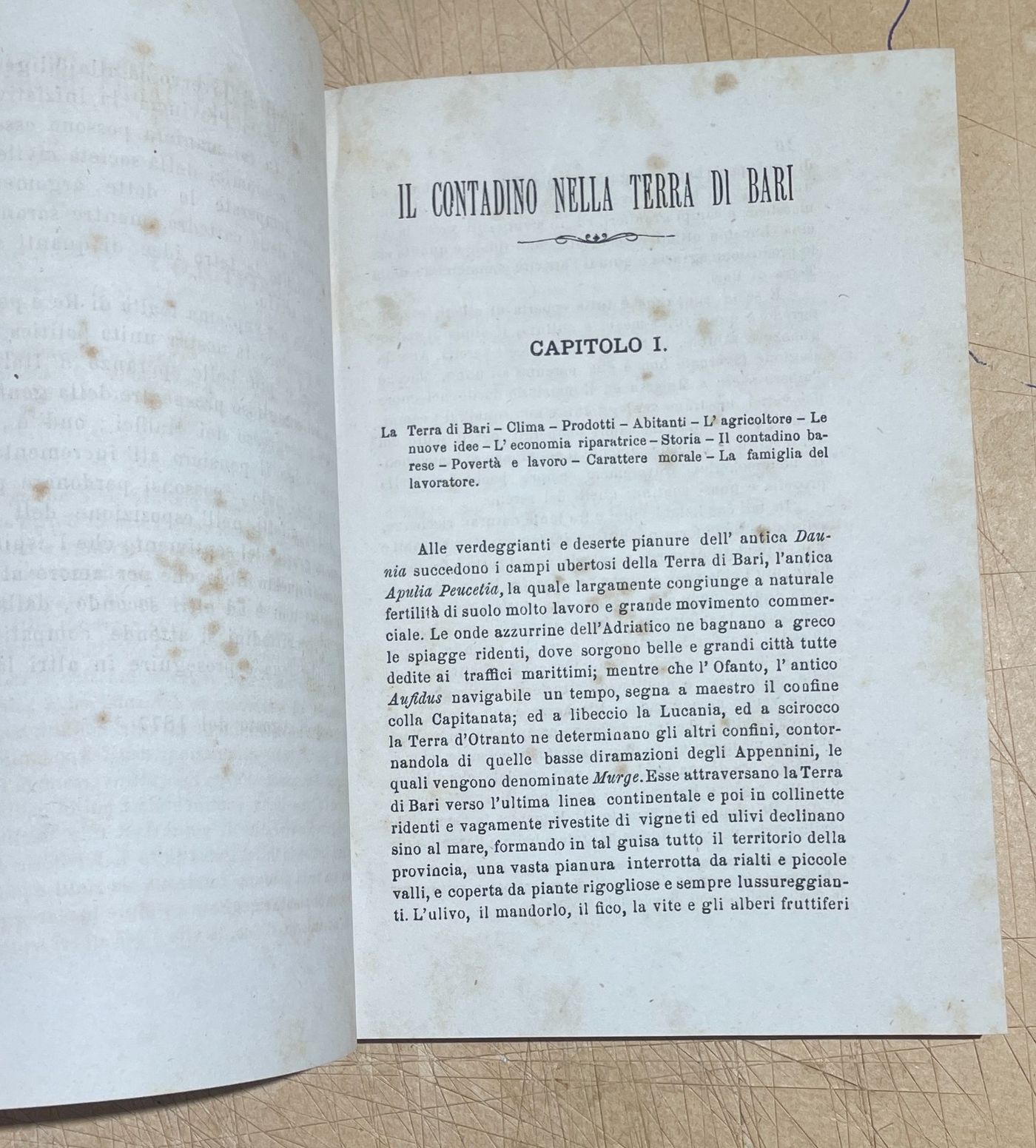 Puglia   Bari   Agricoltura. Il Contadino Nella Terra Di Bari   Sabino Fiorese (1878)