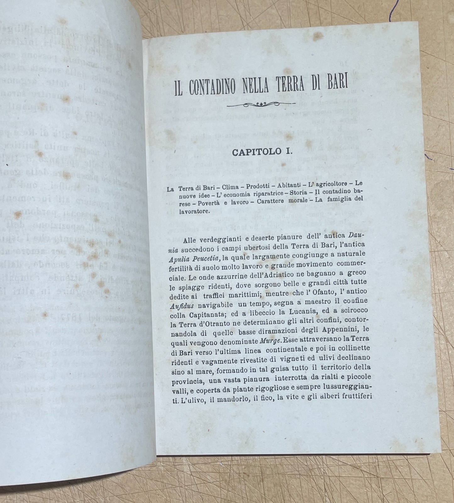 Puglia   Bari   Agricoltura. Il Contadino Nella Terra Di Bari   Sabino Fiorese (1878)