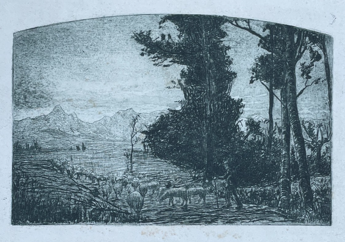 Veduta Bucolica E Pastorale: Antica Incisione Del Primo Novecento