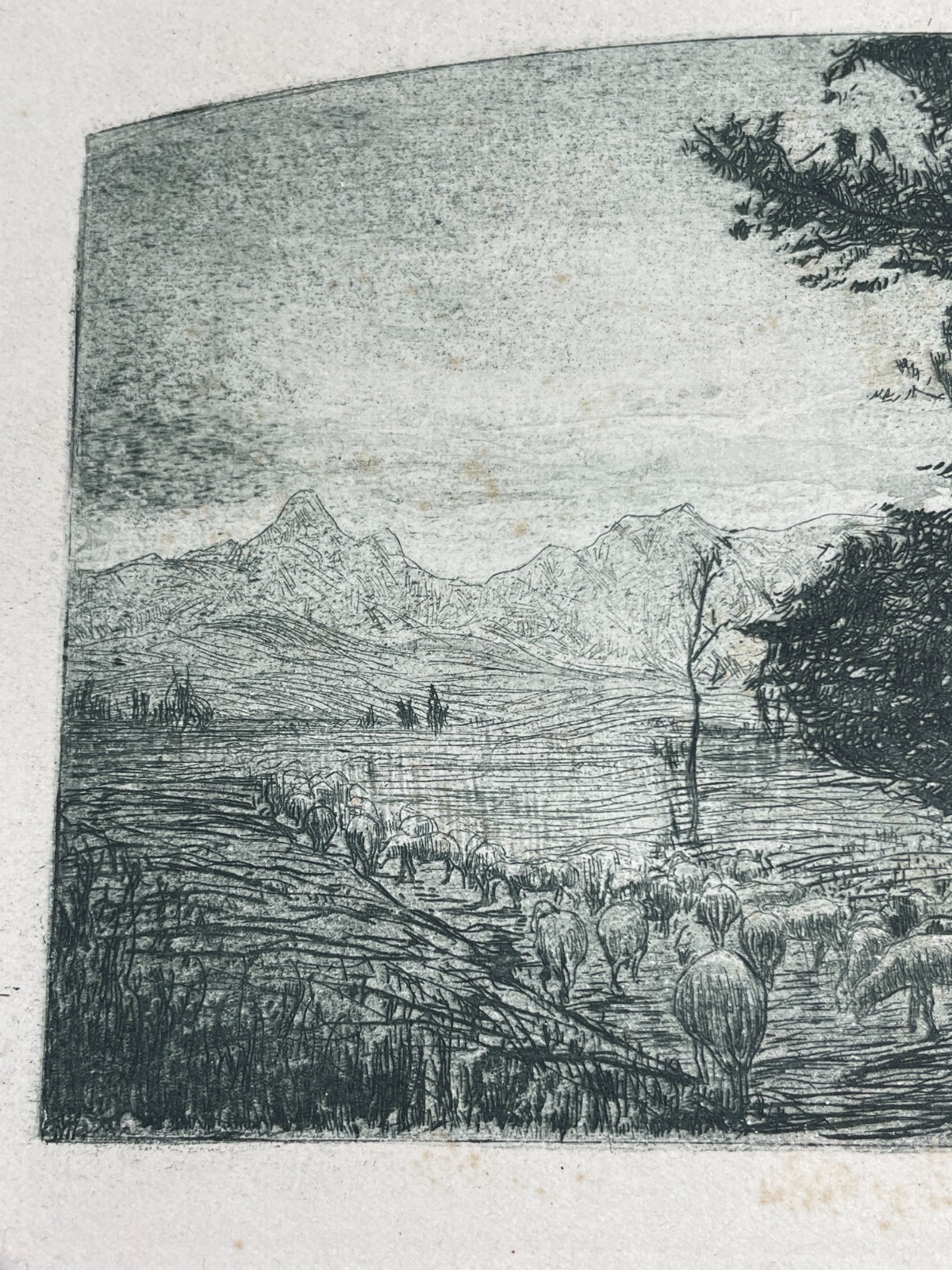 Veduta Bucolica E Pastorale: Antica Incisione Del Primo Novecento