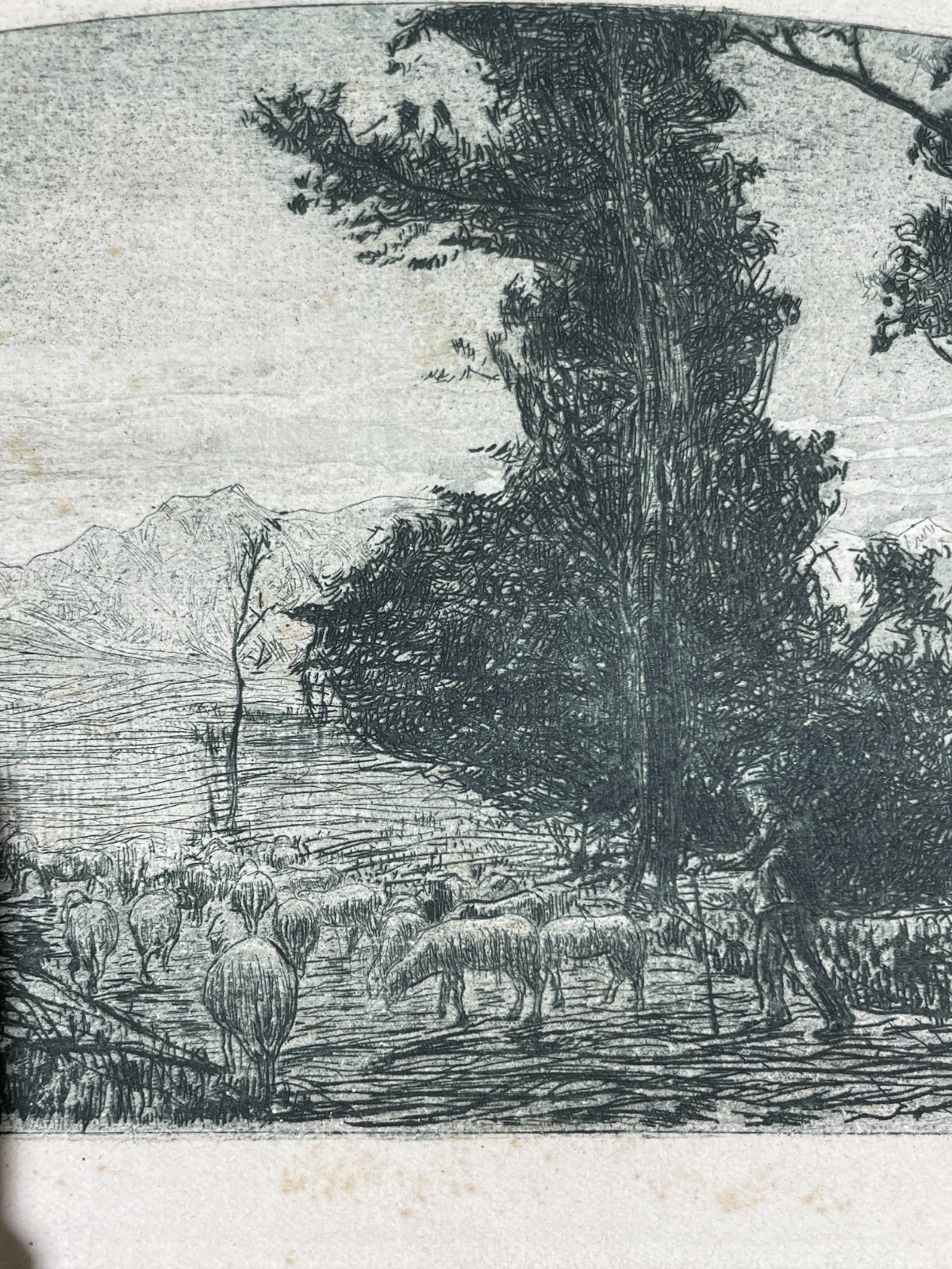 Veduta Bucolica E Pastorale: Antica Incisione Del Primo Novecento