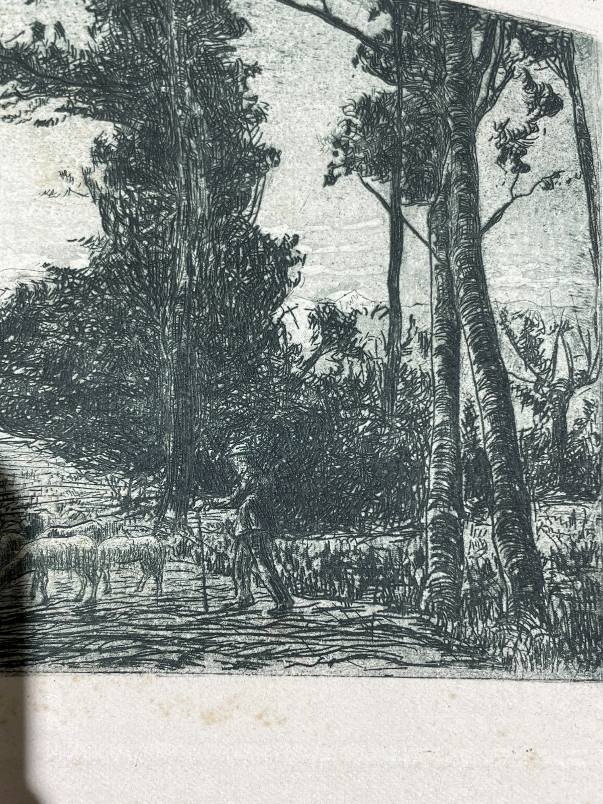 Veduta Bucolica E Pastorale: Antica Incisione Del Primo Novecento