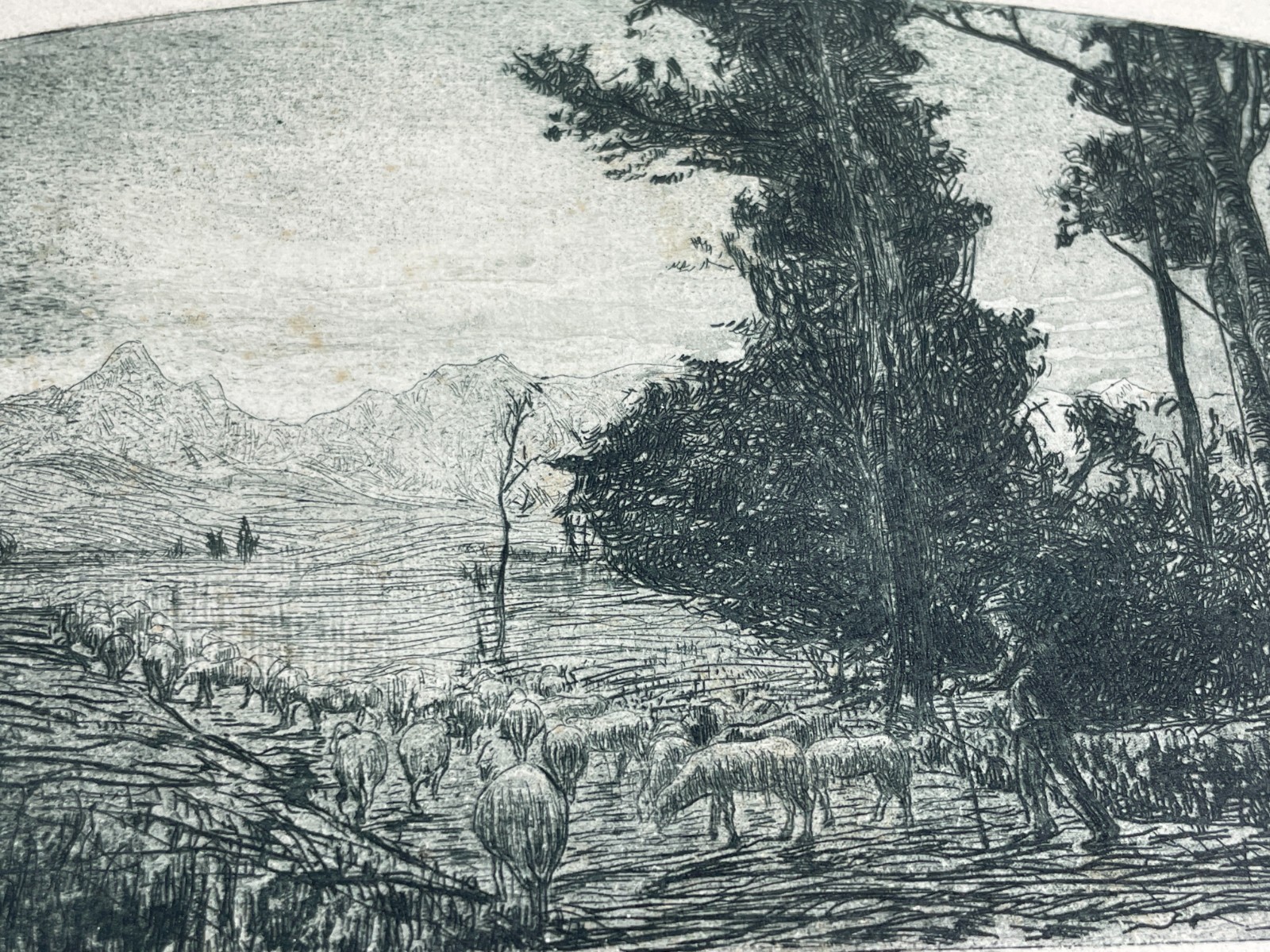 Veduta Bucolica E Pastorale: Antica Incisione Del Primo Novecento