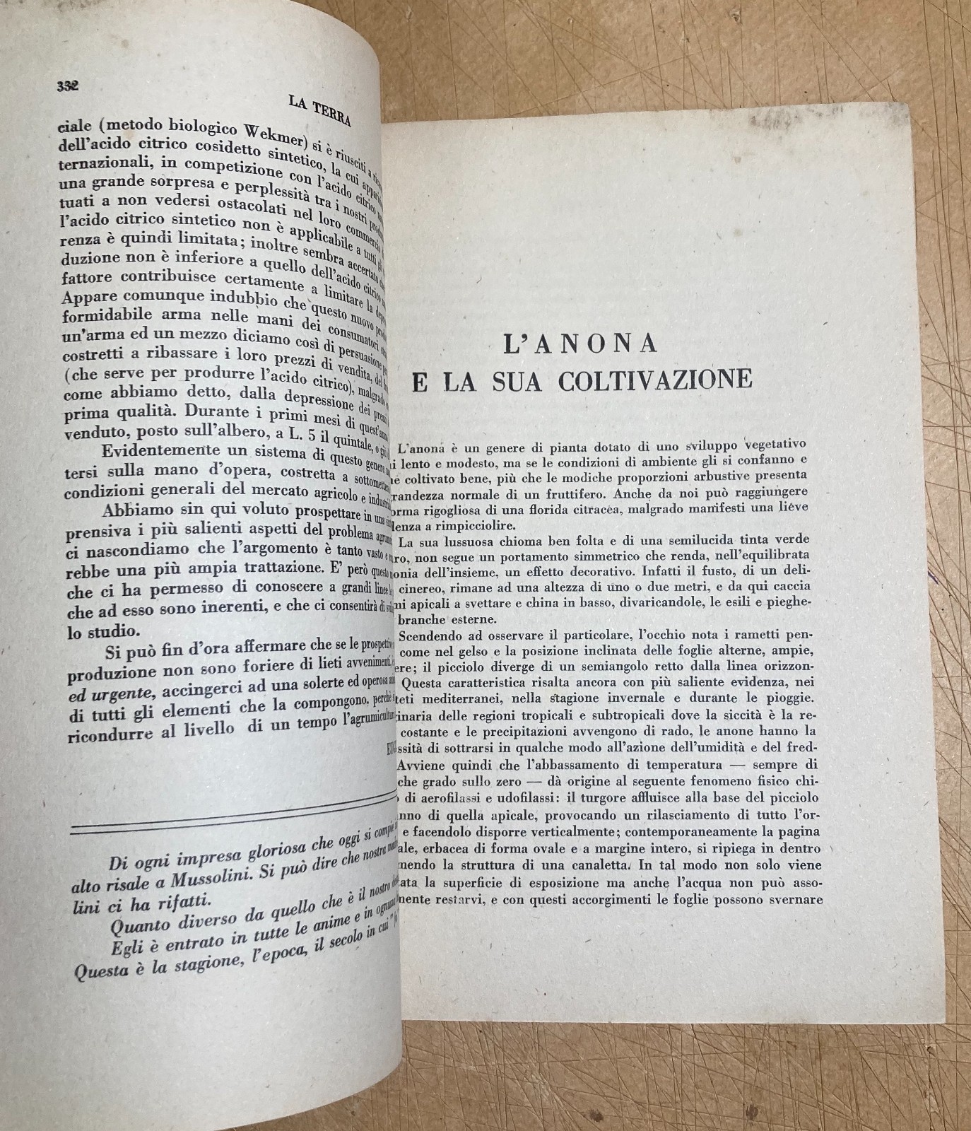 Agricoltura, Economia Agraria, Bonifiche, Valdichiana. Rivista La Terra, 1933