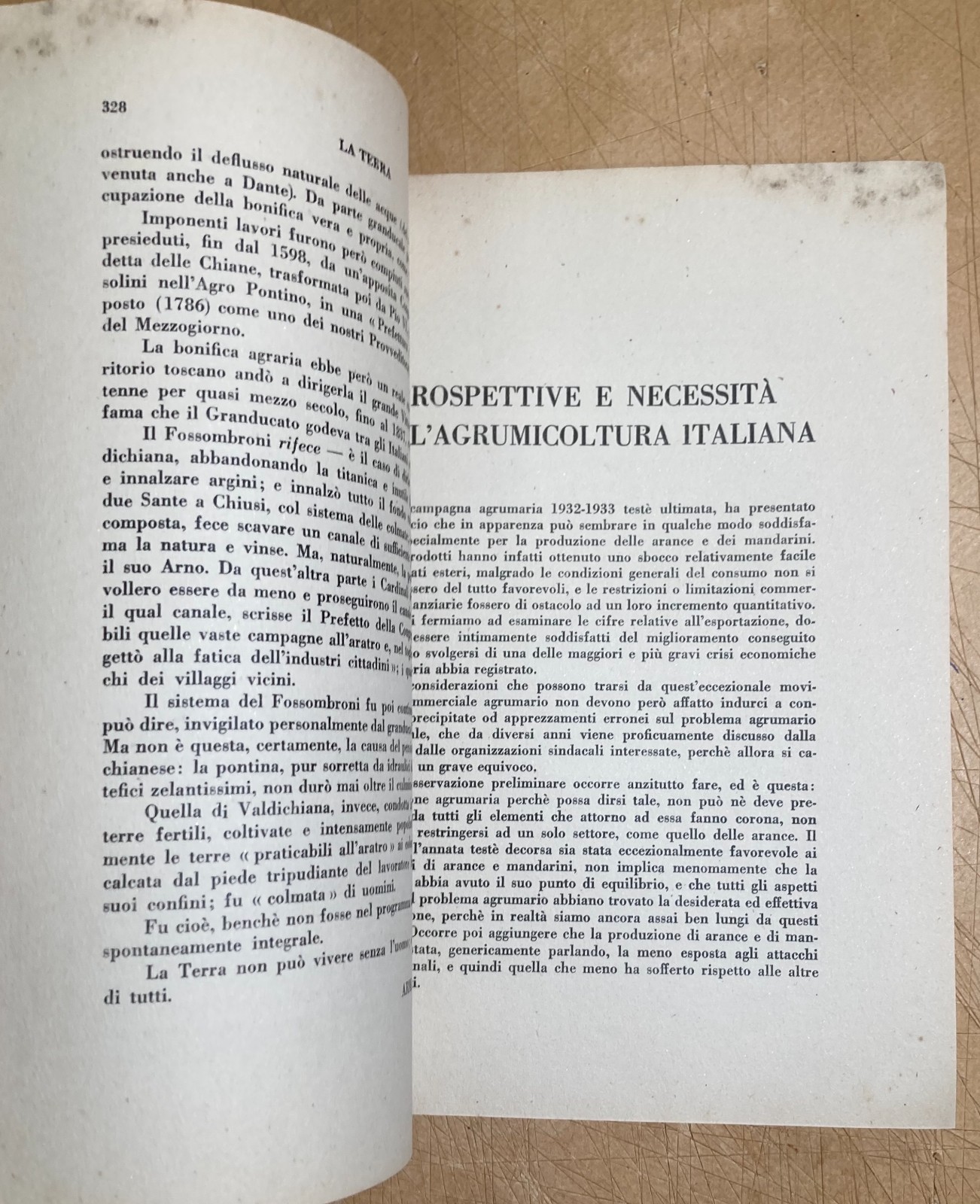 Agricoltura, Economia Agraria, Bonifiche, Valdichiana. Rivista La Terra, 1933