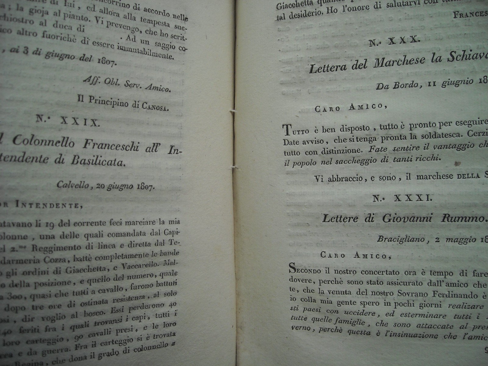 Regno Di Napoli: Epoca Napoleonica, Borboni, Capece, Canosa E Brigantaggio In Calabria