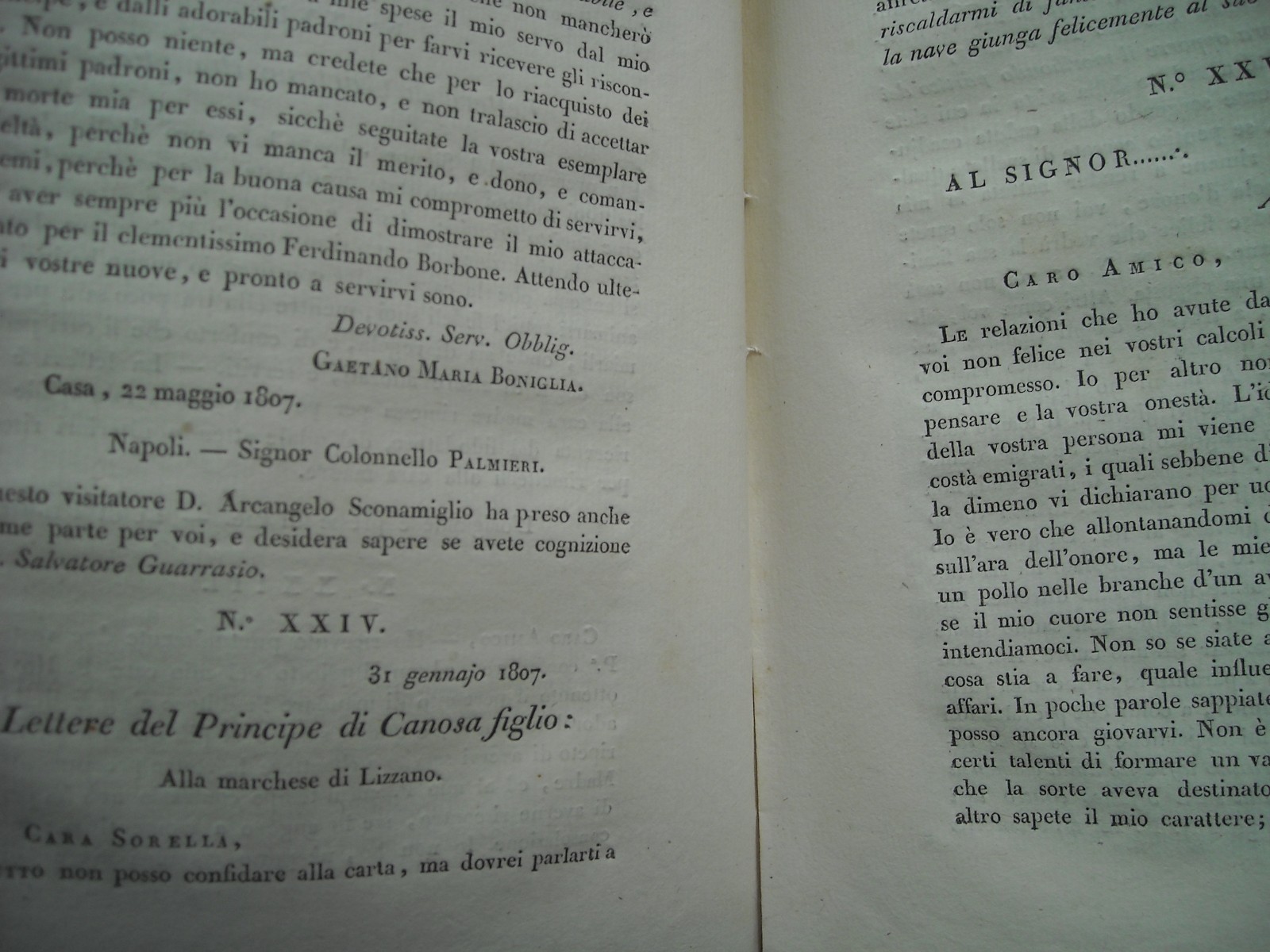 Regno Di Napoli: Epoca Napoleonica, Borboni, Capece, Canosa E Brigantaggio In Calabria