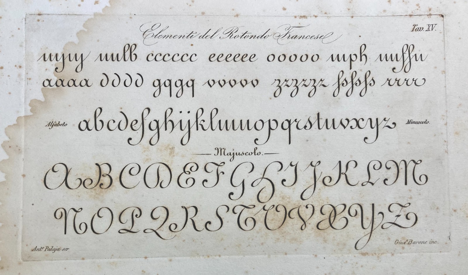 Scrittura, Calligrafia, Antica Incisione. Palaja, Incisore Barone. Rotondo Francese.