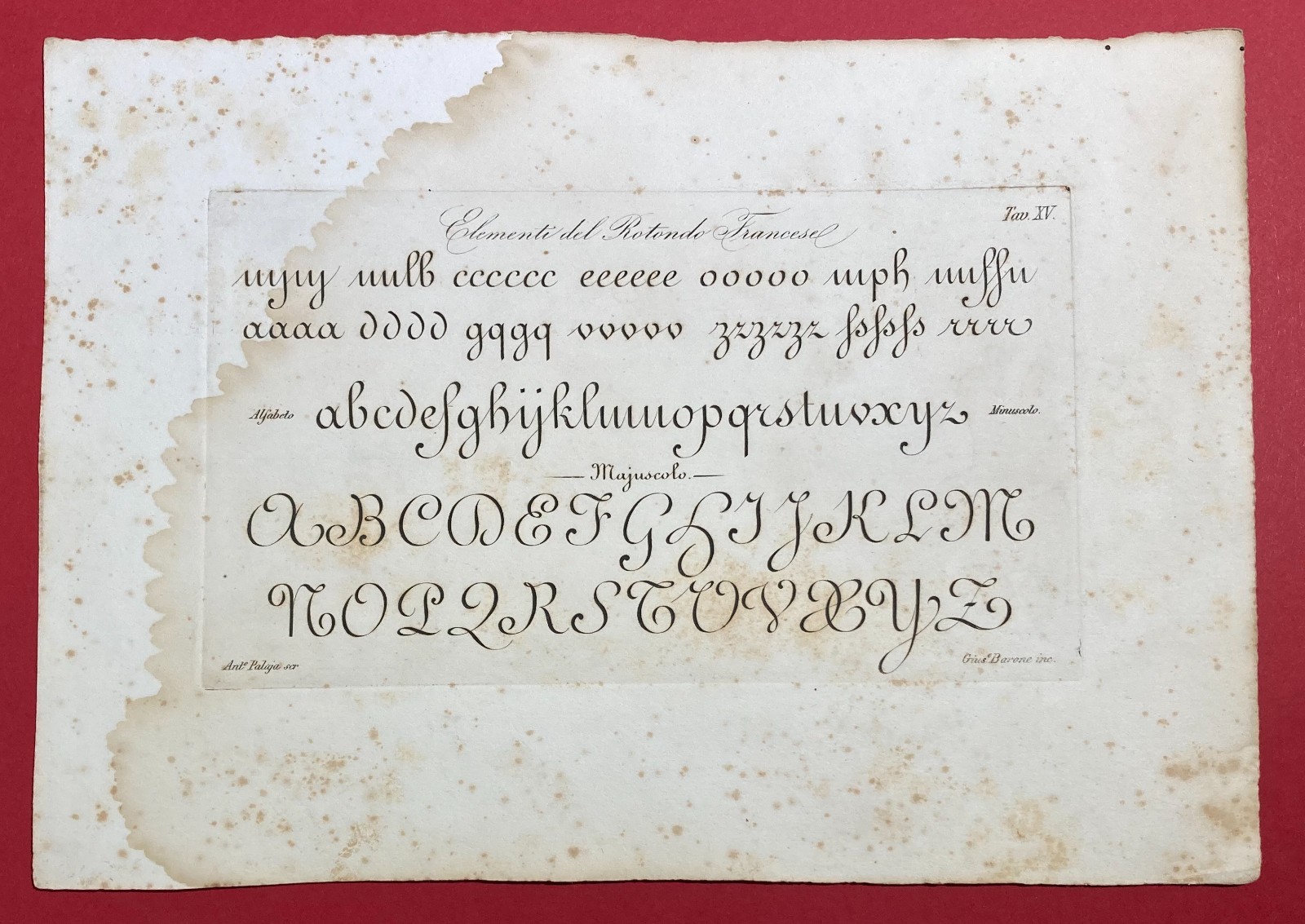 Scrittura, Calligrafia, Antica Incisione. Palaja, Incisore Barone. Rotondo Francese.