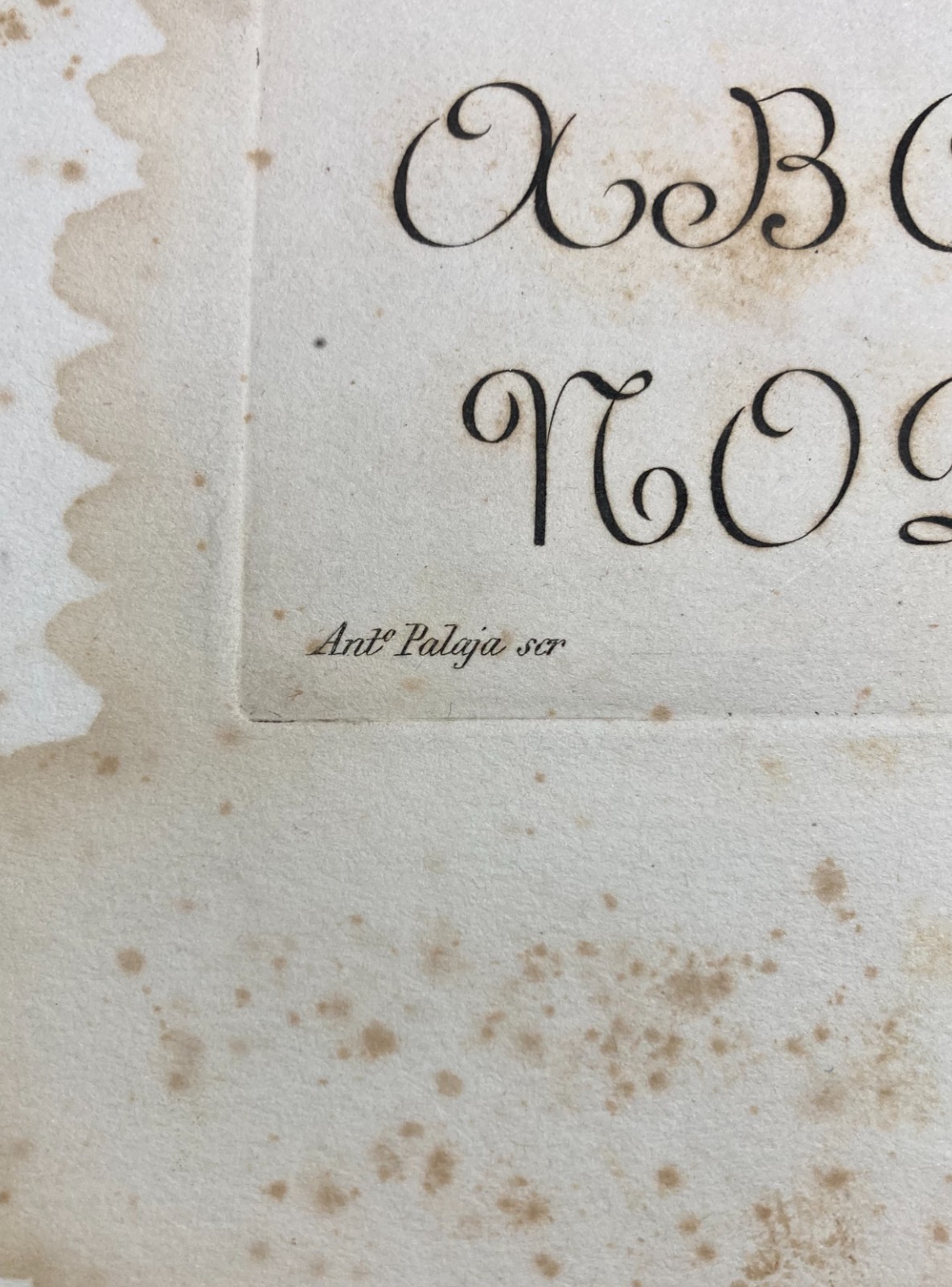 Scrittura, Calligrafia, Antica Incisione. Palaja, Incisore Barone. Rotondo Francese.