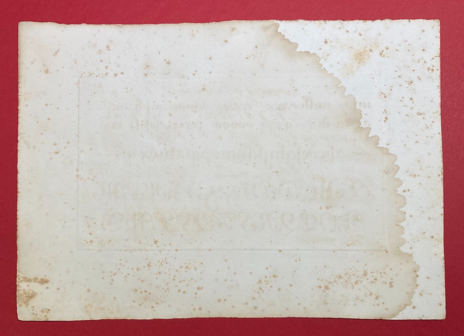 Scrittura, Calligrafia, Antica Incisione. Palaja, Incisore Barone. Rotondo Francese.