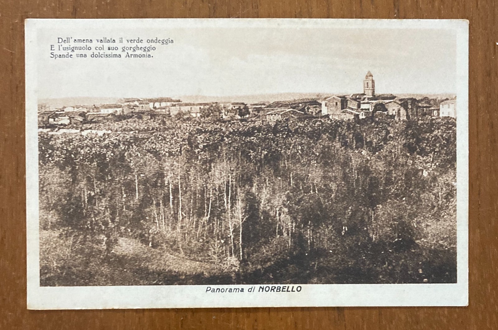 Sardegna, Norbello: Antica Veduta Panoramica